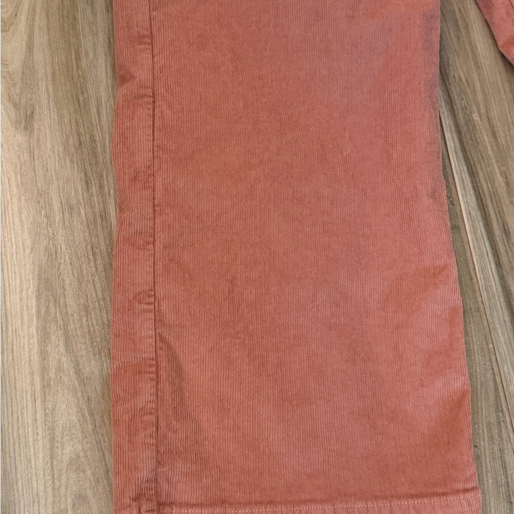 American Eagle Corduroy Pants - Picture 7 of 15